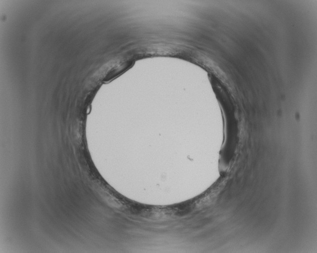 X0000064750305200603131350