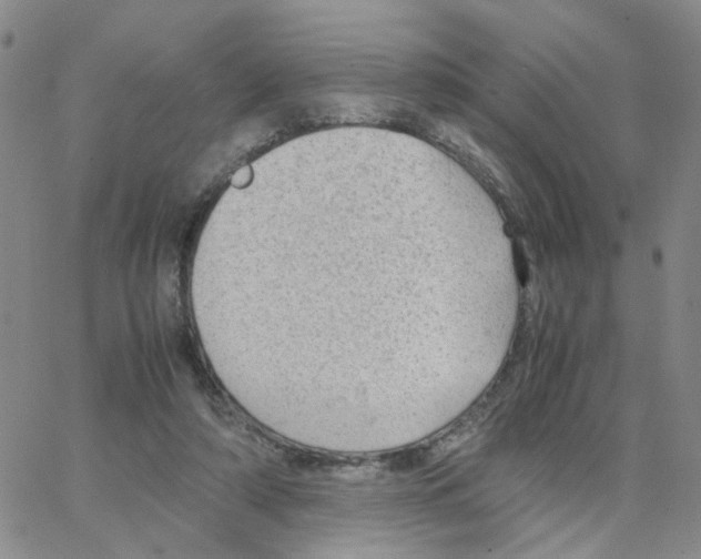 X0000064750306200603131350