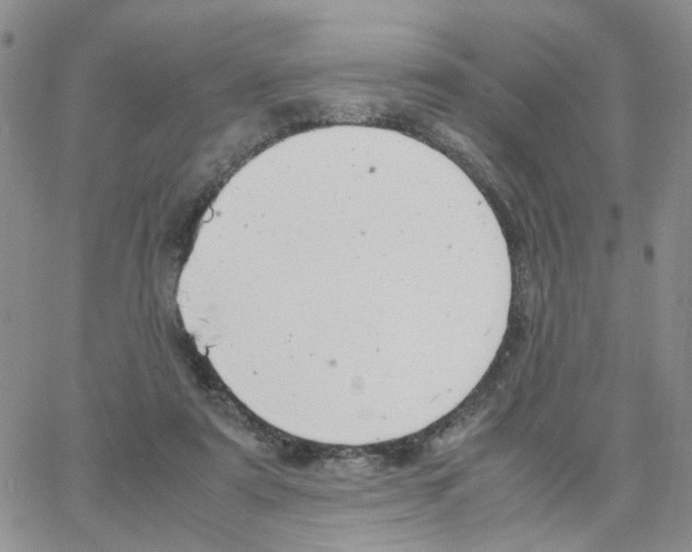 X0000064750307200603131350