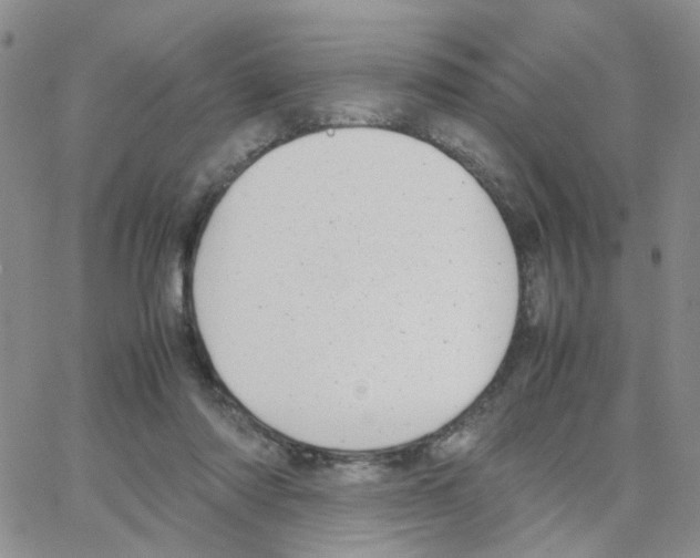 X0000064750310200603131350