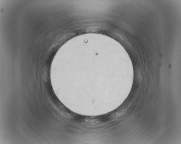 X0000064750311200603131350