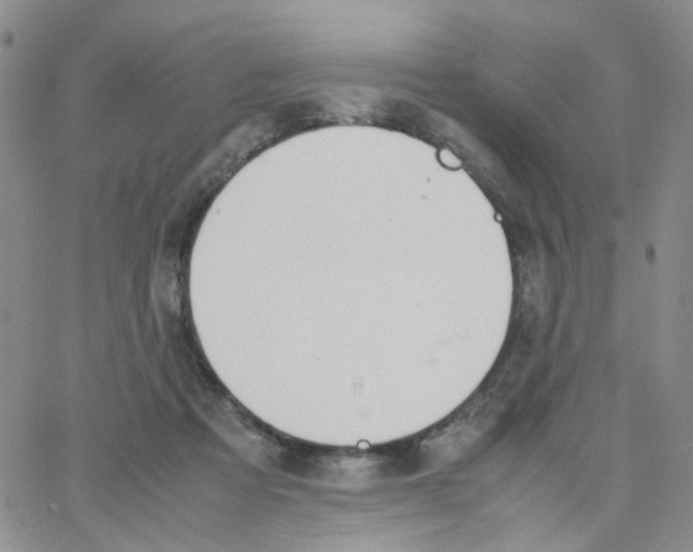 X0000064750313200603131350