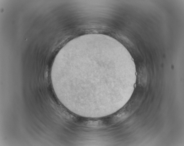 X0000064750314200603131350