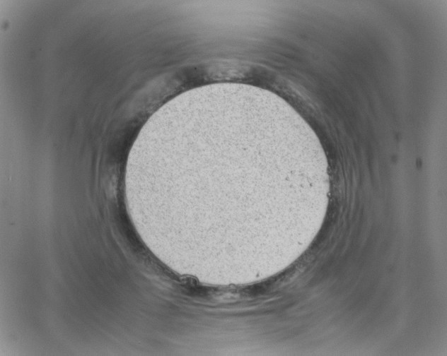 X0000064750315200603131350