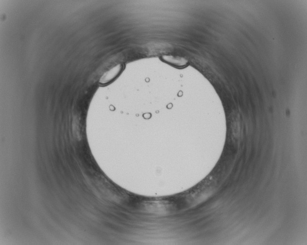 X0000064750316200603131350