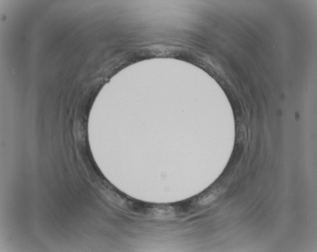 X0000064750317200603131350