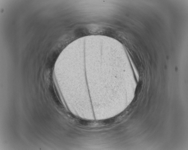 X0000064750319200603131350