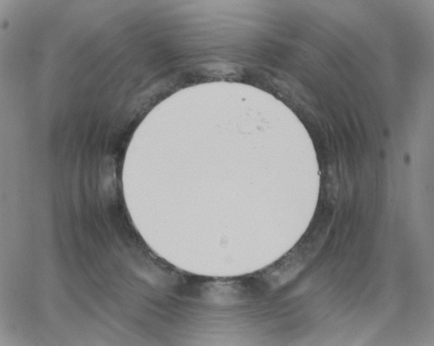 X0000064750320200603131350