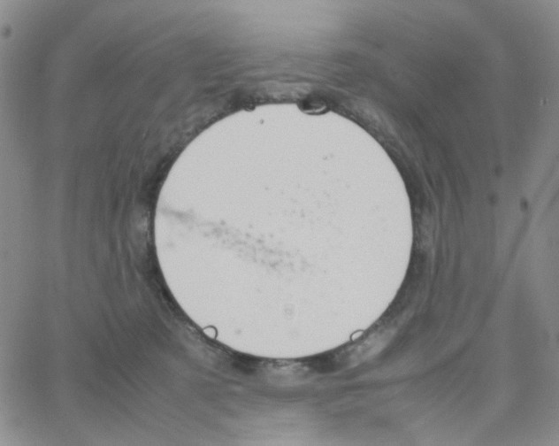 X0000064750321200603131350