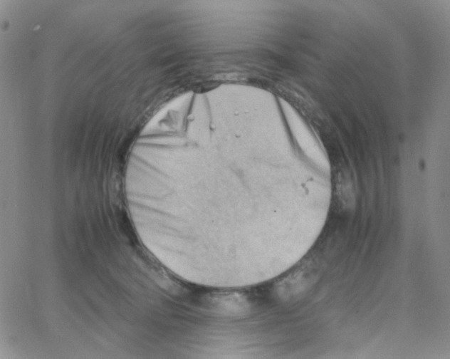 X0000064750322200603131350