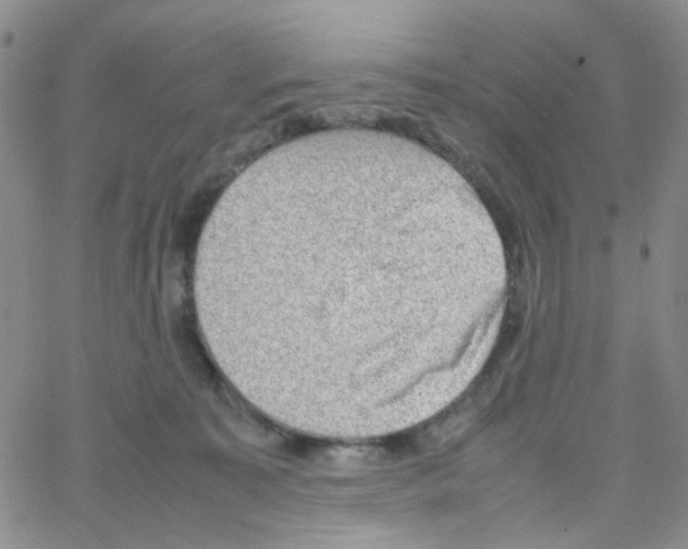 X0000064750323200603131350