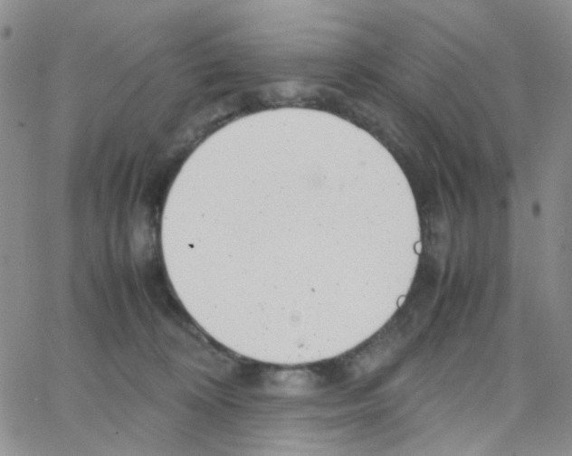 X0000064750324200603131350