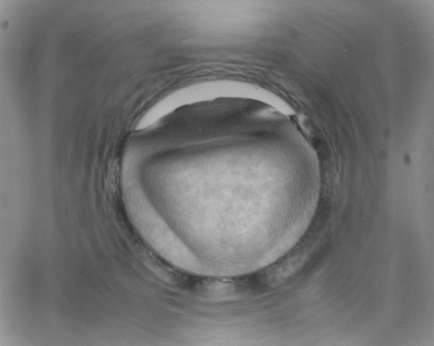 X0000064750325200603131350