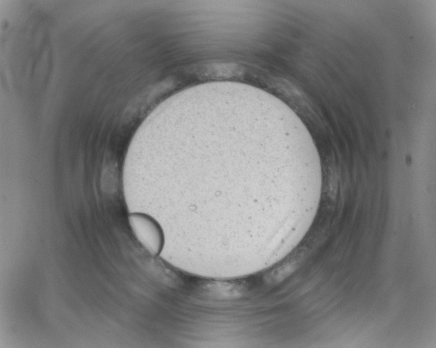 X0000064750326200603131350