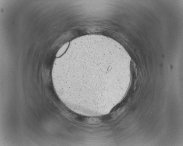 X0000064750327200603131350