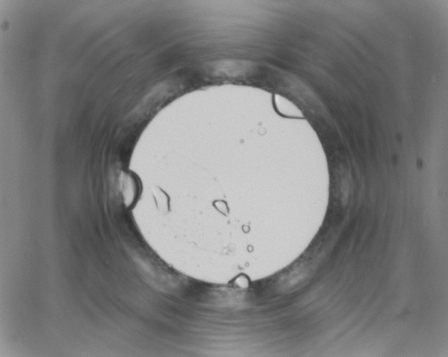 X0000064750328200603131350