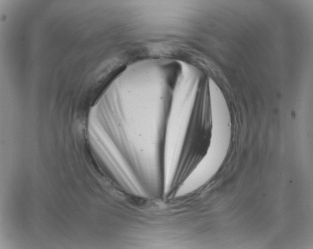 X0000064750329200603131350