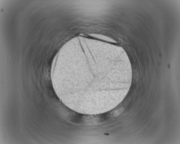 X0000064750331200603131350