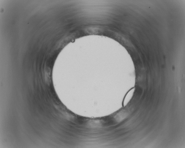 X0000064750332200603131350