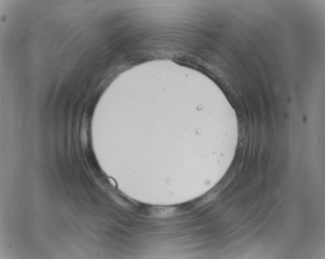 X0000064750334200603131350