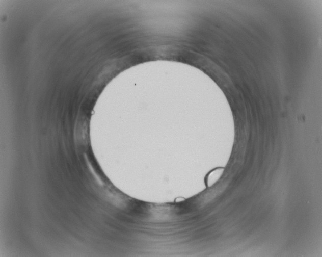 X0000064750336200603131350