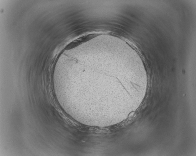 X0000064750337200603131349