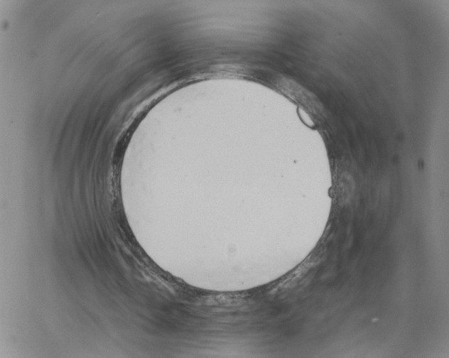 X0000064750338200603131349