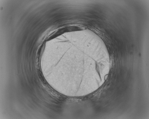 X0000064750339200603131349