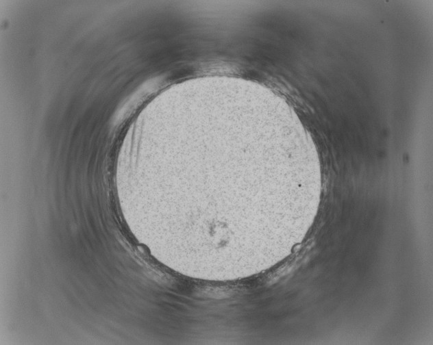 X0000064750341200603131349