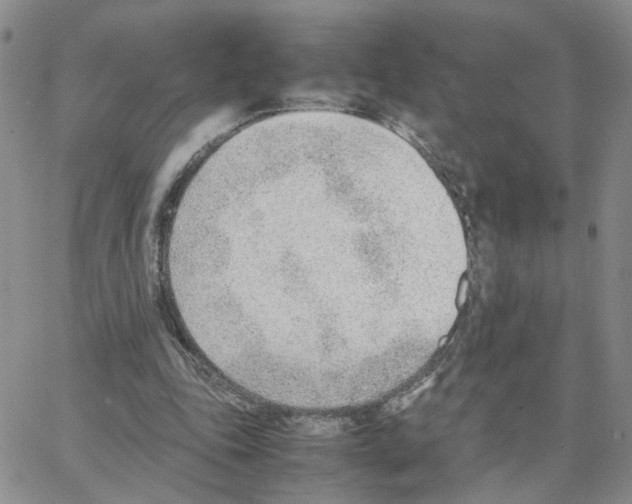 X0000064750343200603131349