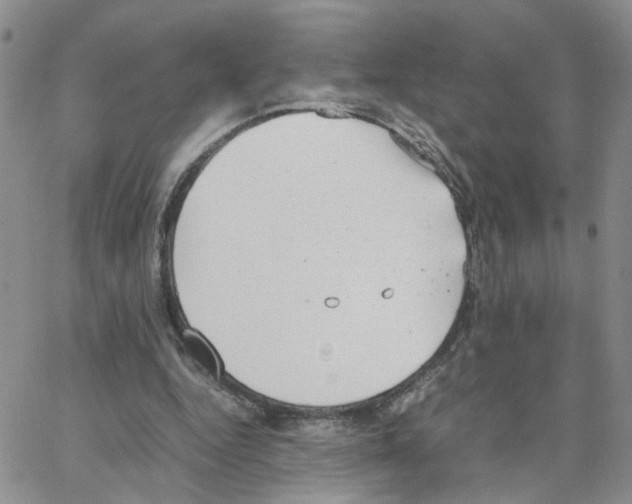 X0000064750344200603131349