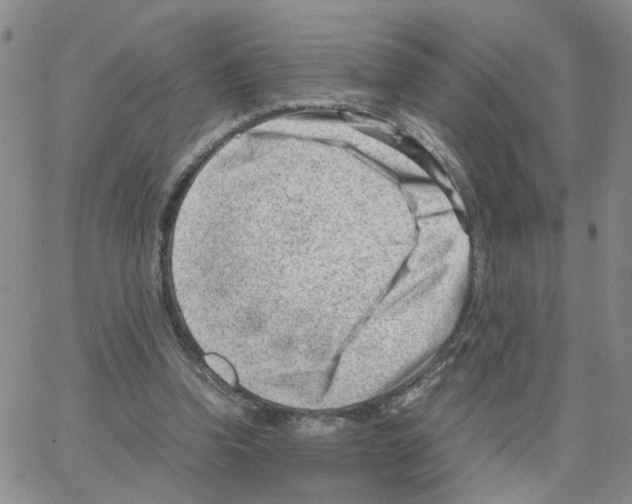 X0000064750346200603131349