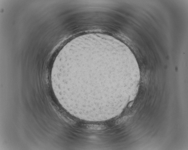 X0000064750347200603131349