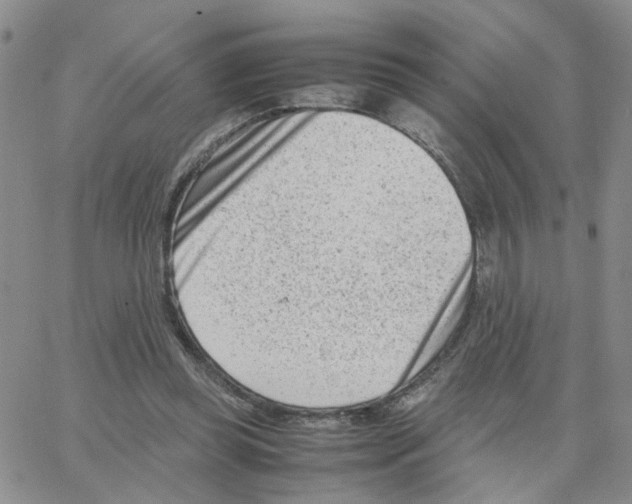 X0000064750349200603131349