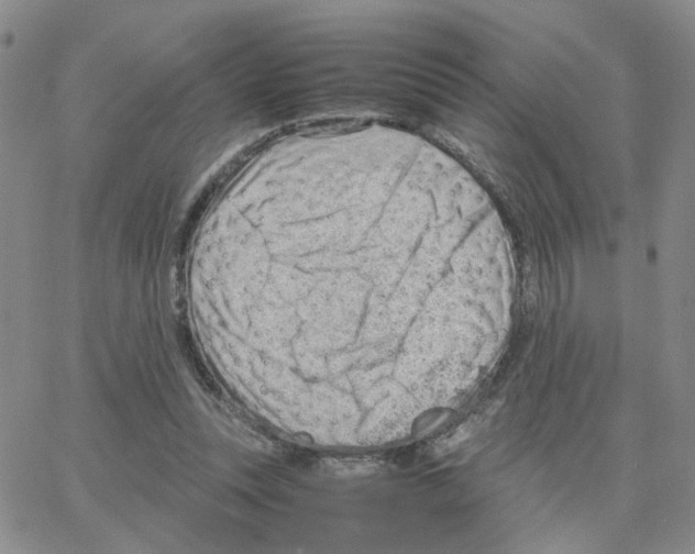 X0000064750351200603131349