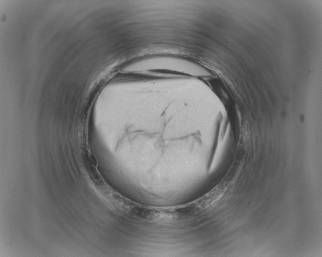 X0000064750352200603131349