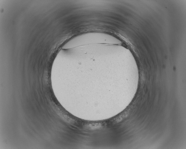 X0000064750353200603131349