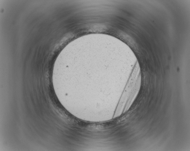 X0000064750354200603131349