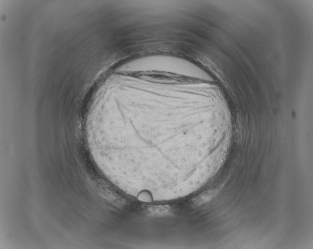 X0000064750355200603131349