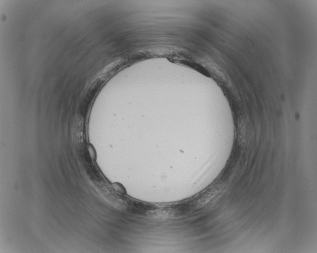 X0000064750356200603131349