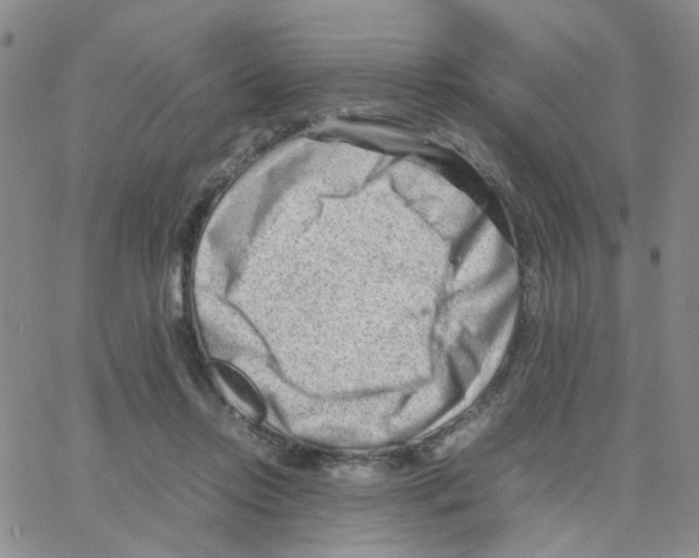 X0000064750358200603131349