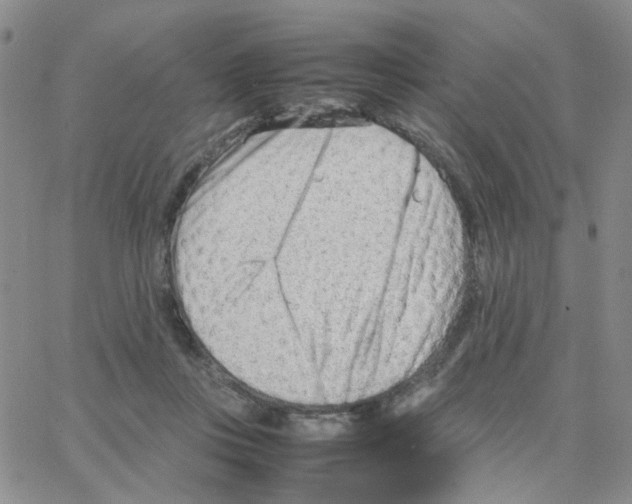 X0000064750359200603131349