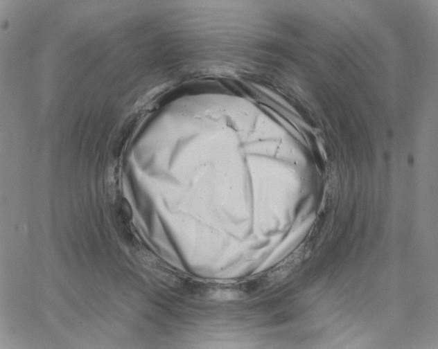 X0000064750360200603131349