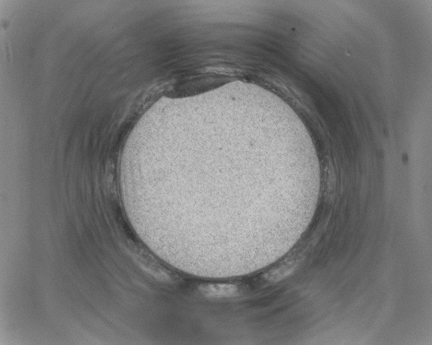 X0000064750361200603131349