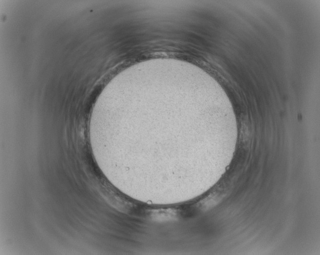 X0000064750363200603131349