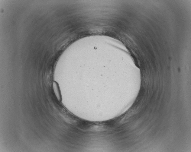 X0000064750364200603131349