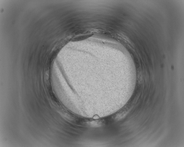 X0000064750365200603131349