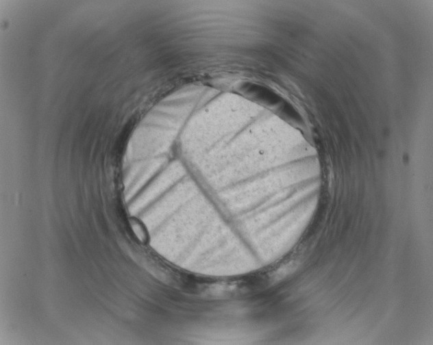 X0000064750366200603131349