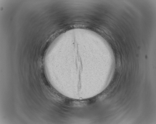 X0000064750367200603131349