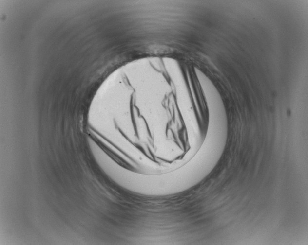 X0000064750368200603131349